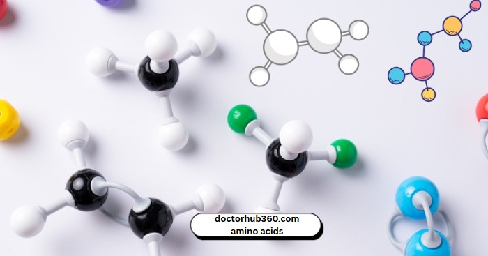Doctorhub360.com Amino Acids: Benefits, Types, and Health Insights